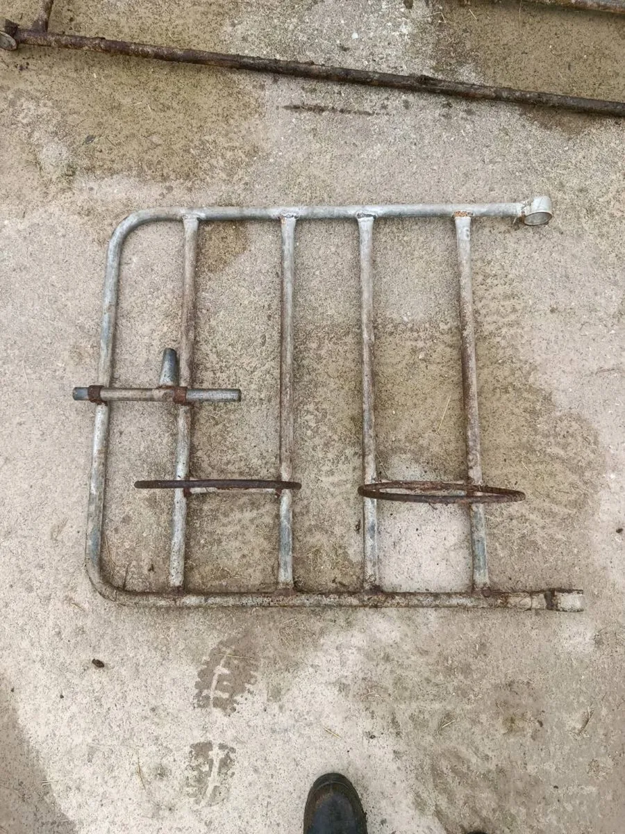 Calf gates/pins - Image 2