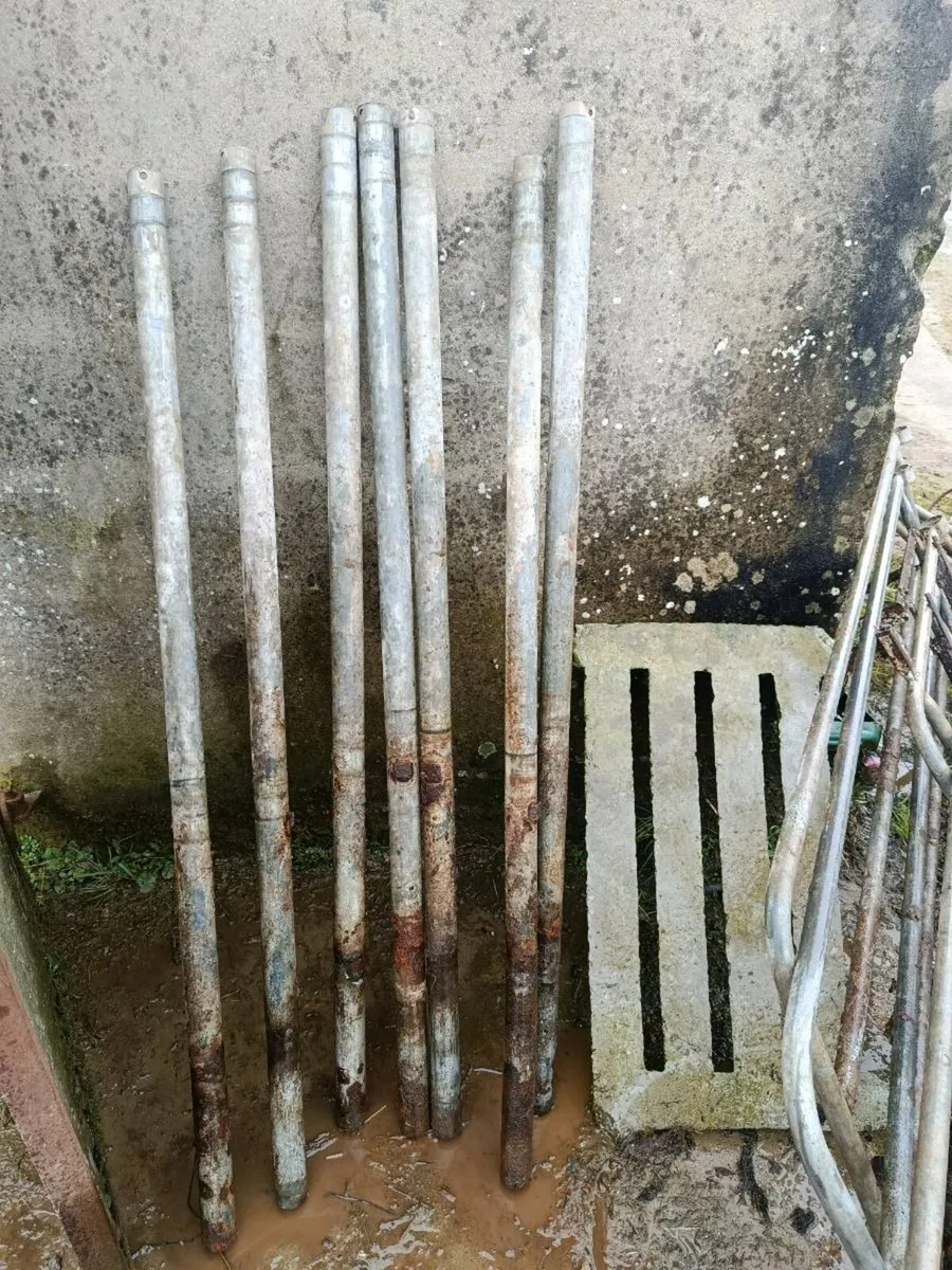 Calf gates/pins - Image 4