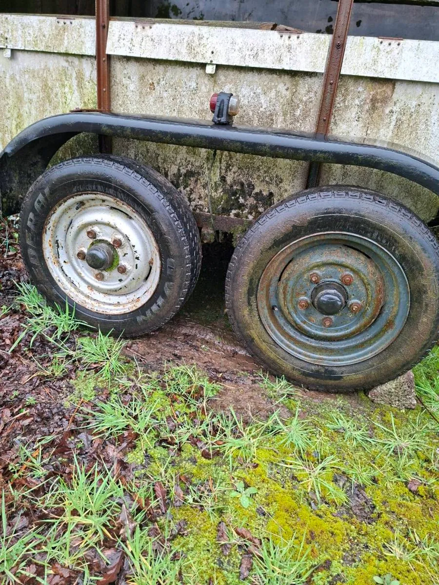Cattle trailer - Image 2