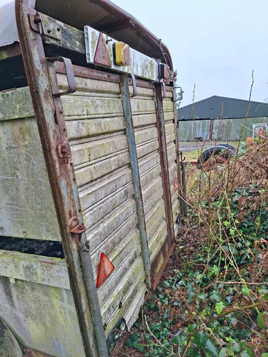 Cattle trailer - Image 3