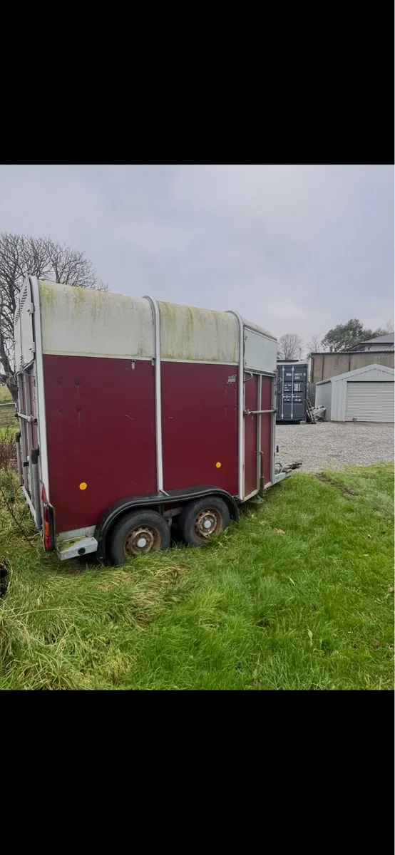 Horse Box - Image 4