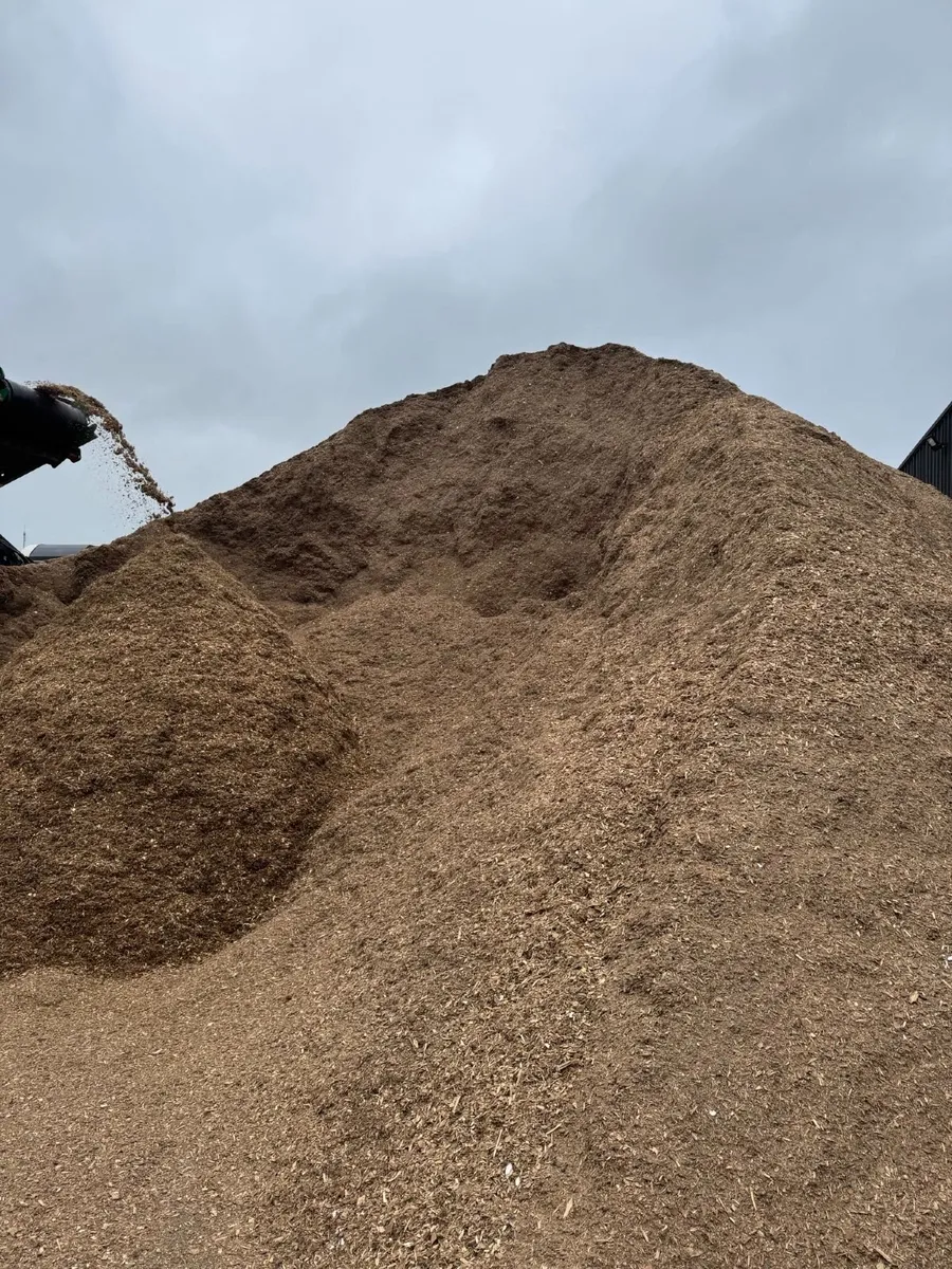 Dust for Bedding - Image 3