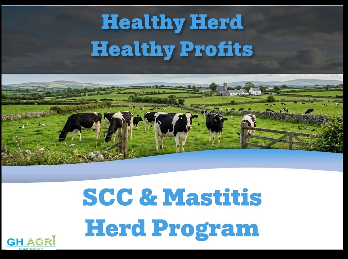 Mastitis & Scc Herd Health - Image 1