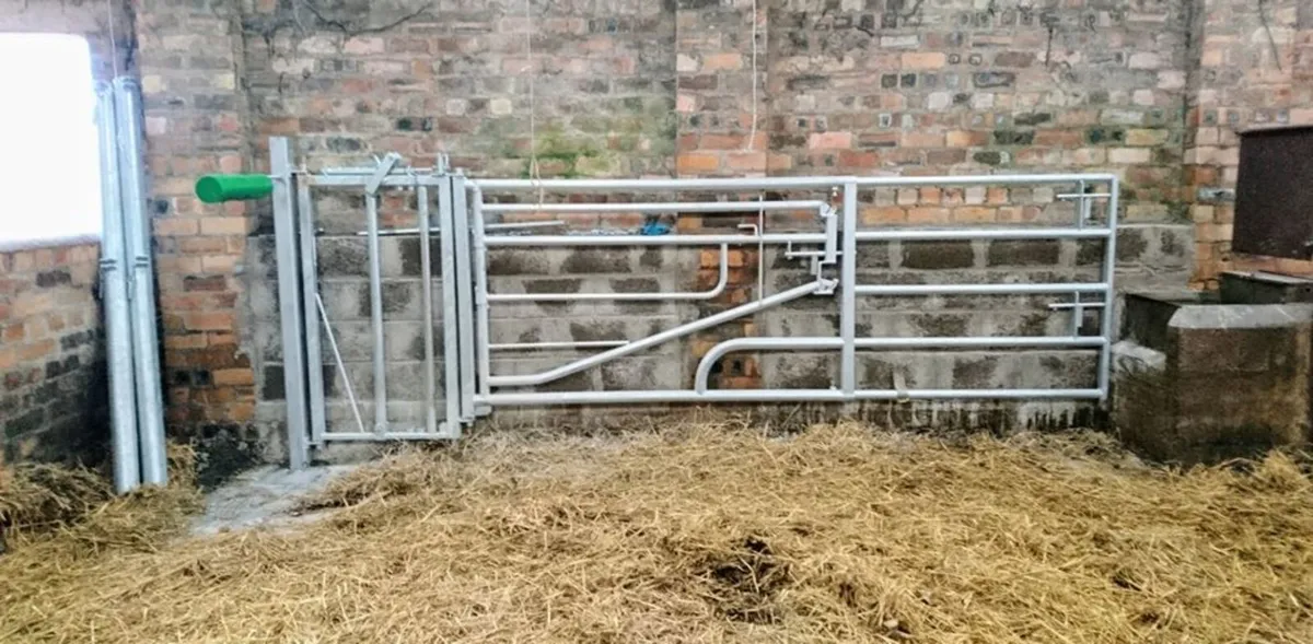 Calving gates - Image 3