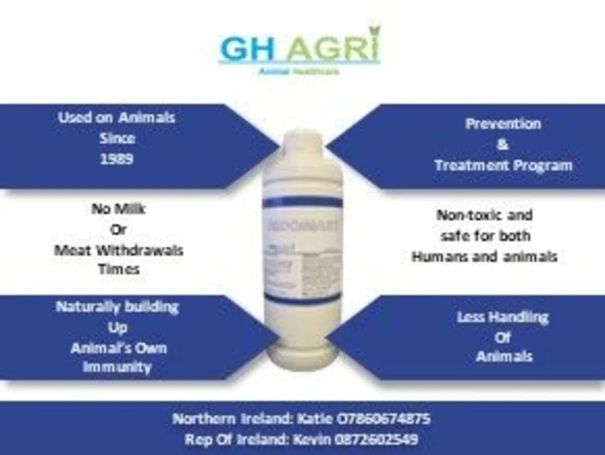 Mastitis & Scc Herd Health - Image 2