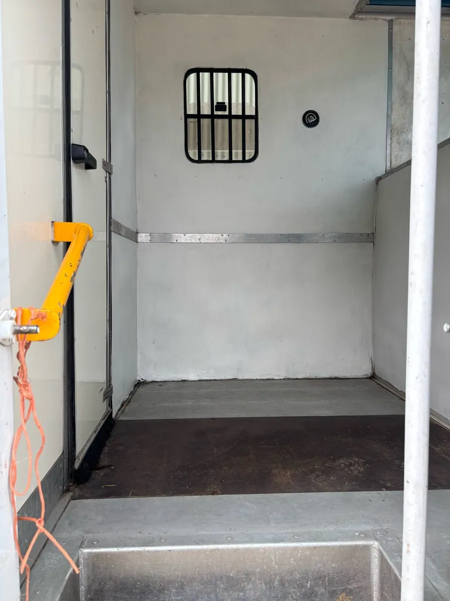 3.5t Iveco two horse - Image 2