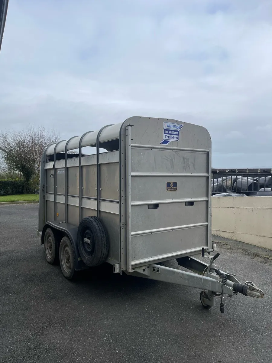 10ftx5 IFOR Williams Like New - Image 1