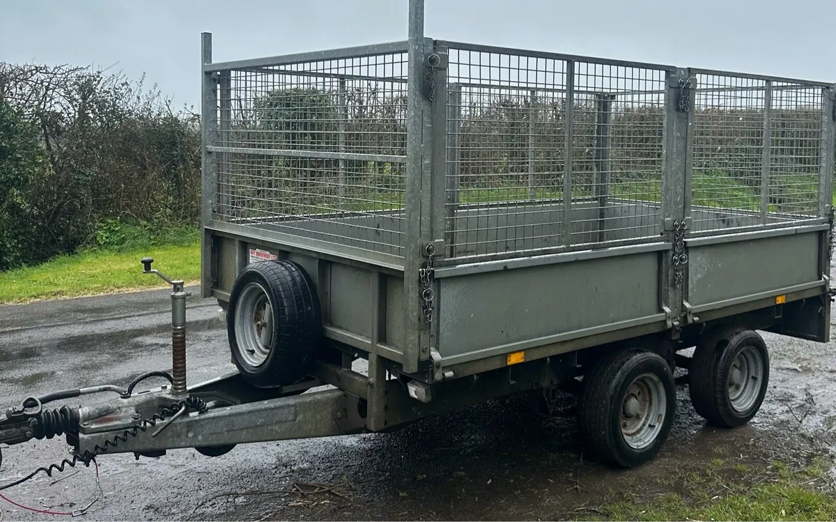 10 x 5 Ifor Williams Trailer - Image 2