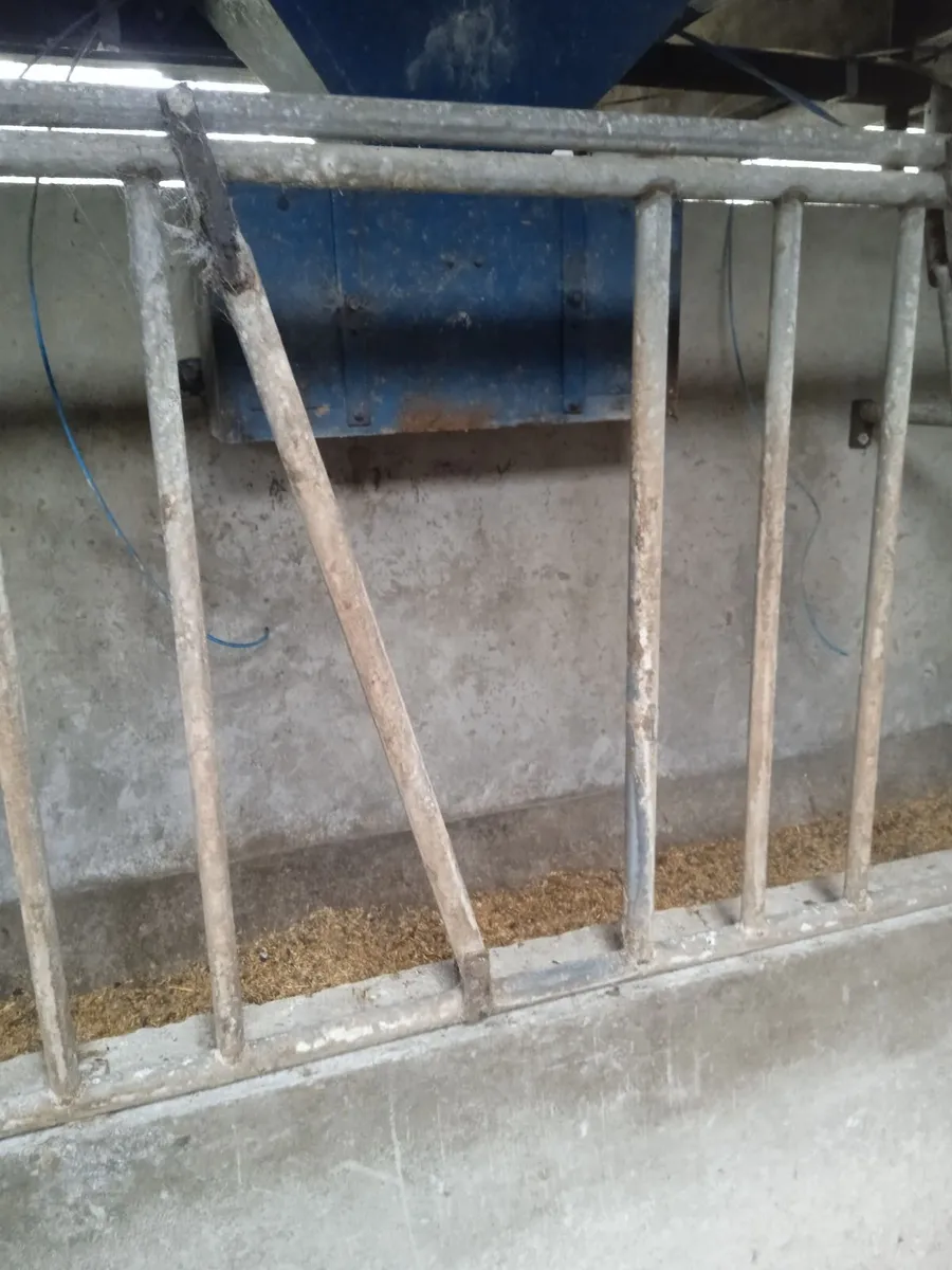 Milking parlour - Image 2