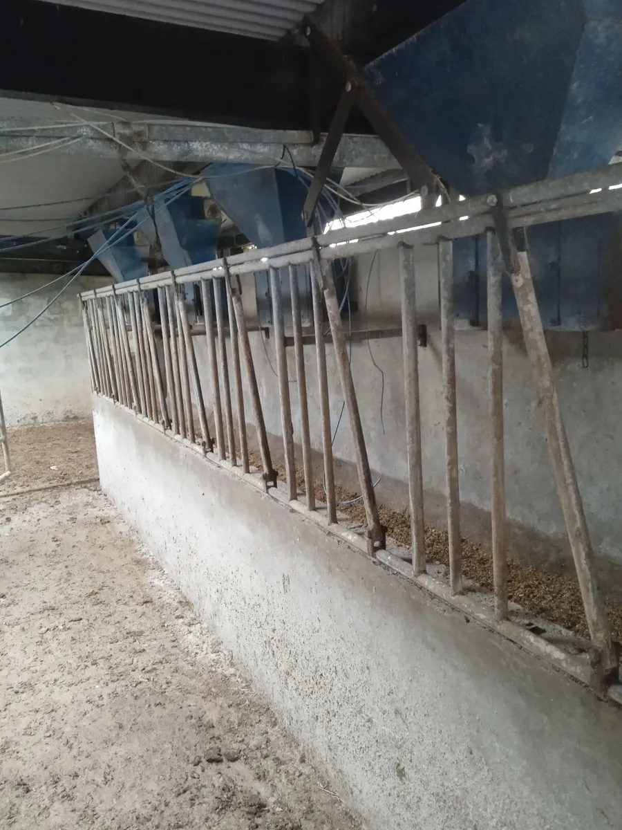 Milking parlour - Image 4