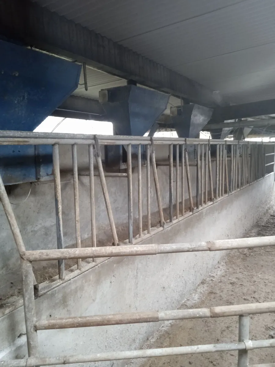 Milking parlour - Image 3