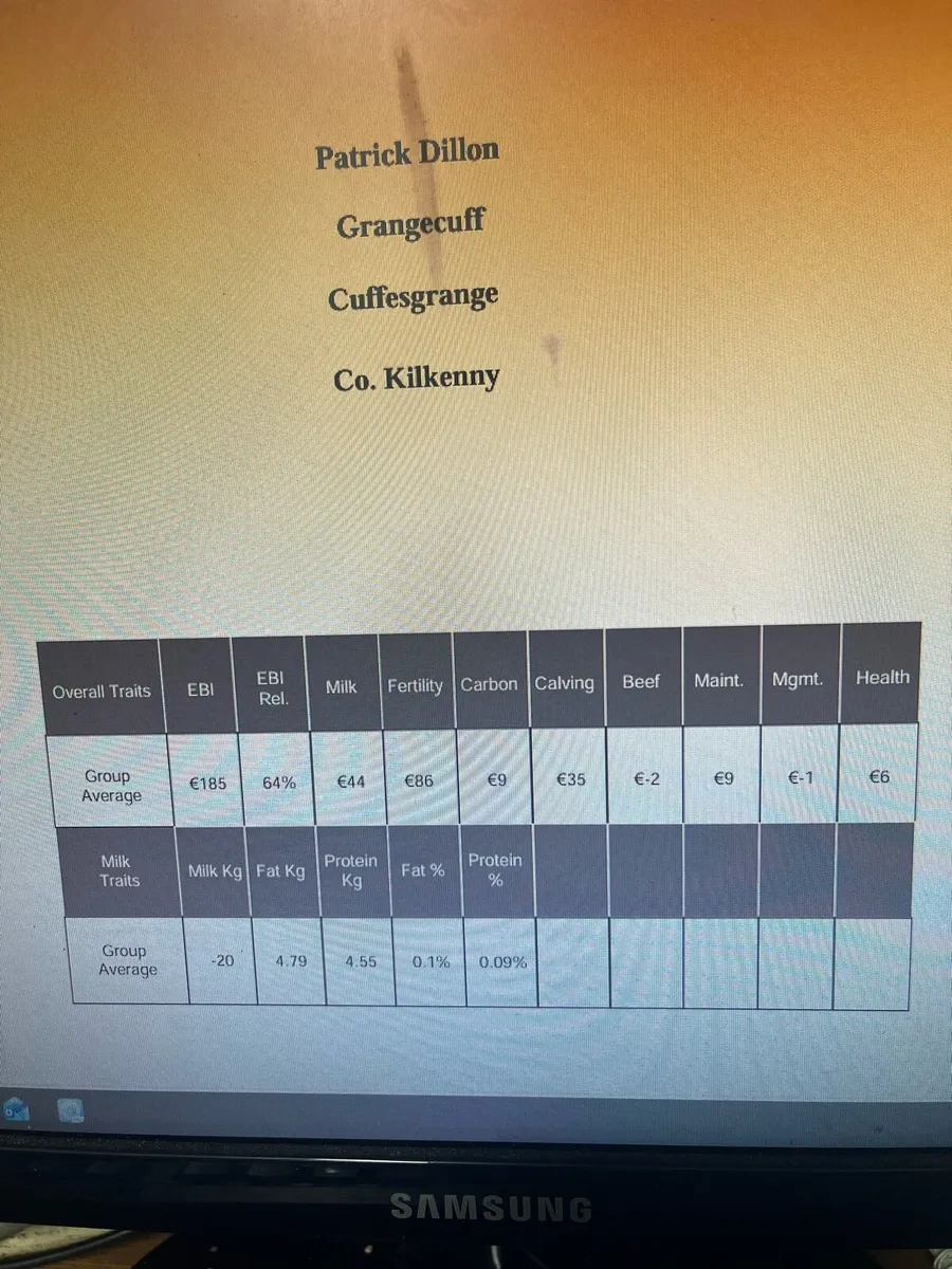 In calf cows - Image 4