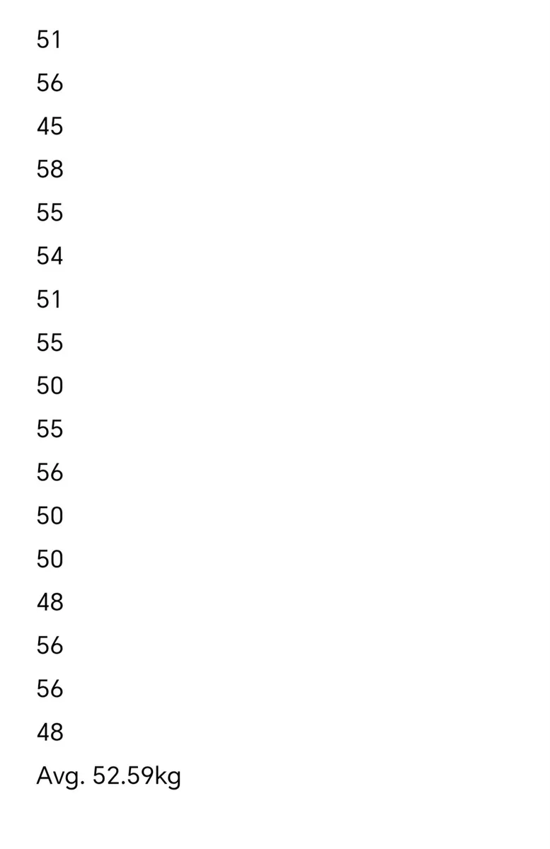 Hoggets Ewes - Image 3