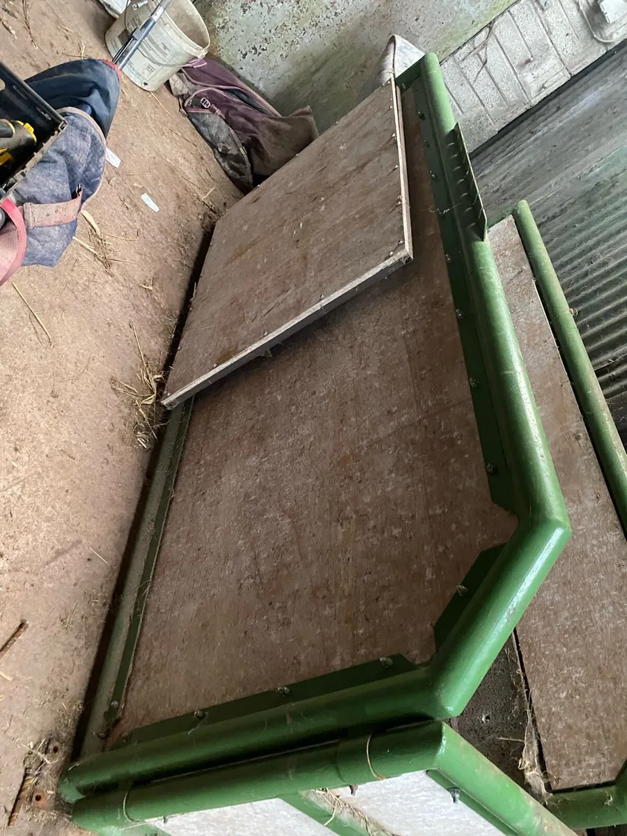 Horse stock - Image 2