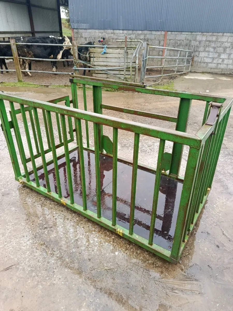 Calf crate/man holder - Image 1