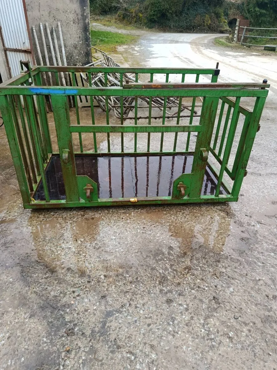 Calf crate/man holder - Image 3