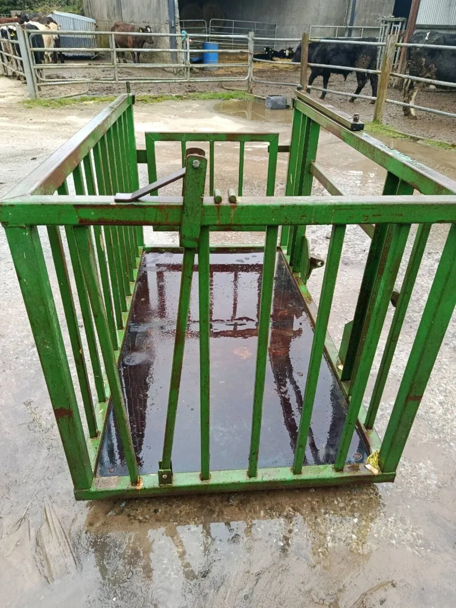 Calf crate/man holder - Image 2