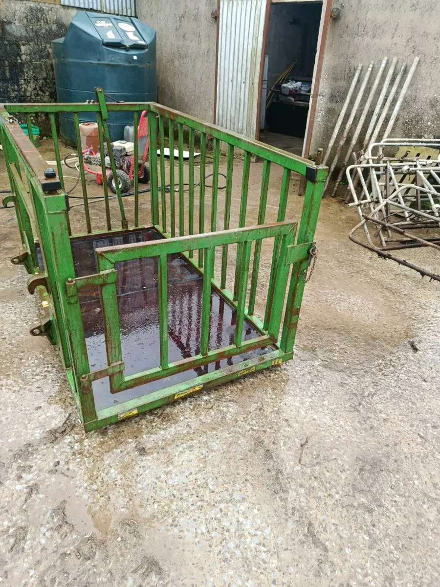 Calf crate/man holder - Image 4