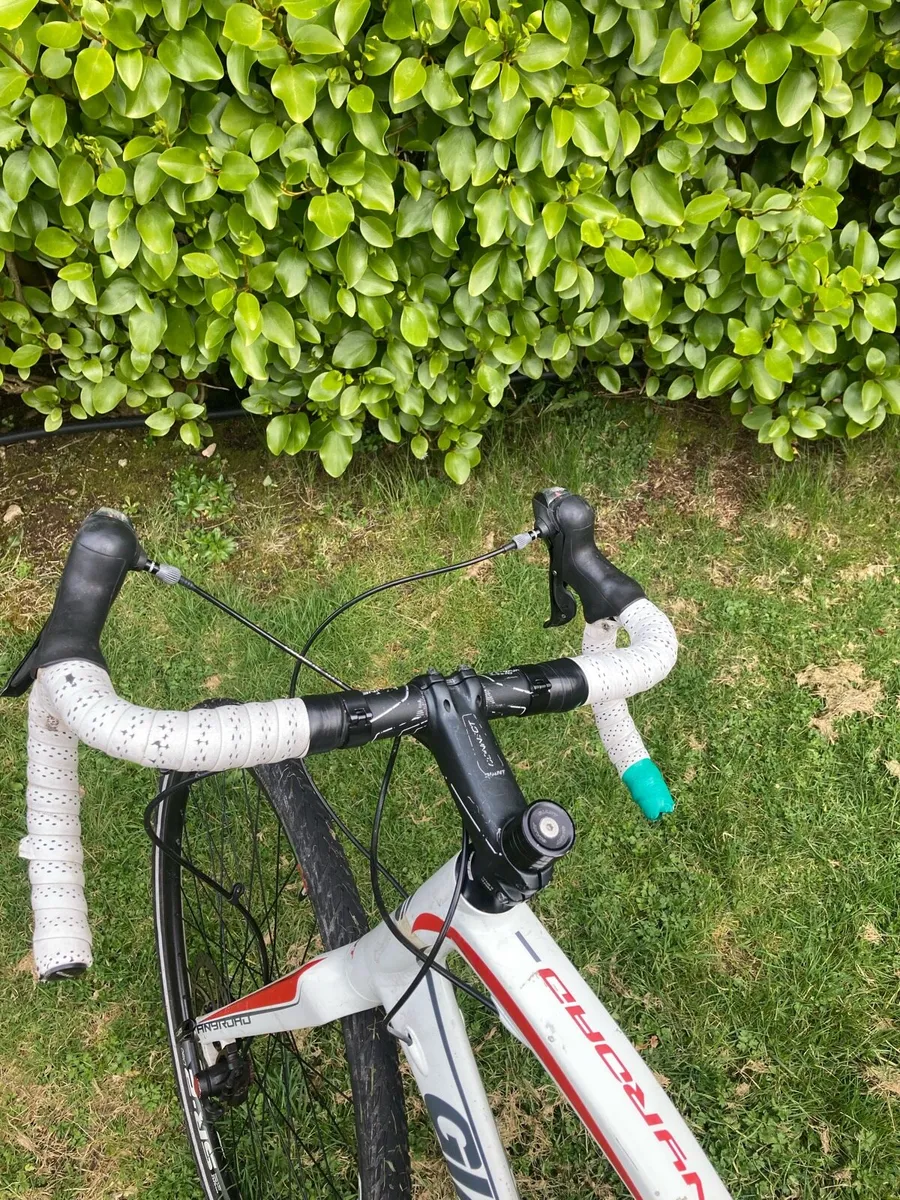 Giant Anyroad size 58 Gravel Bike - Image 4