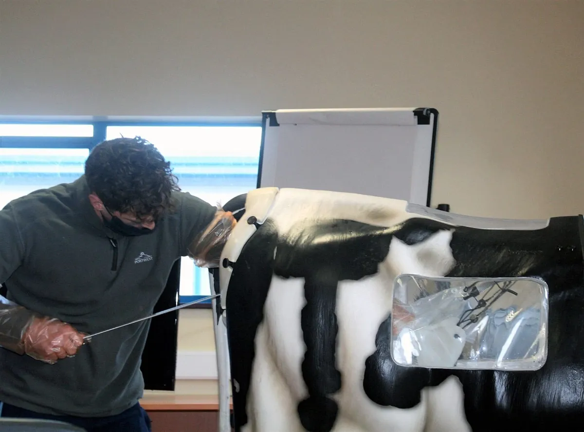 DIY Artificial Insemination Training