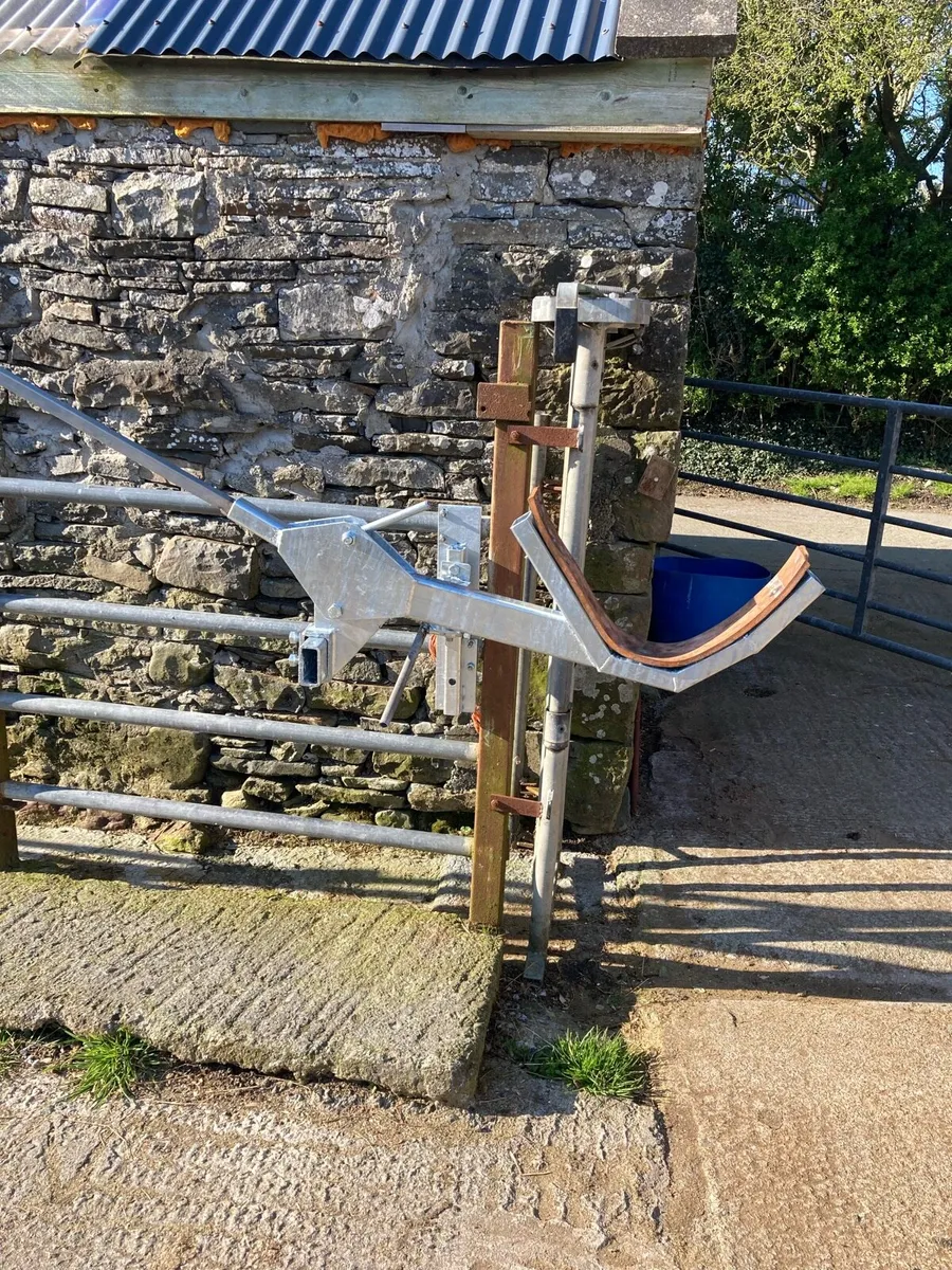 Cattle Head Scoop - Image 3