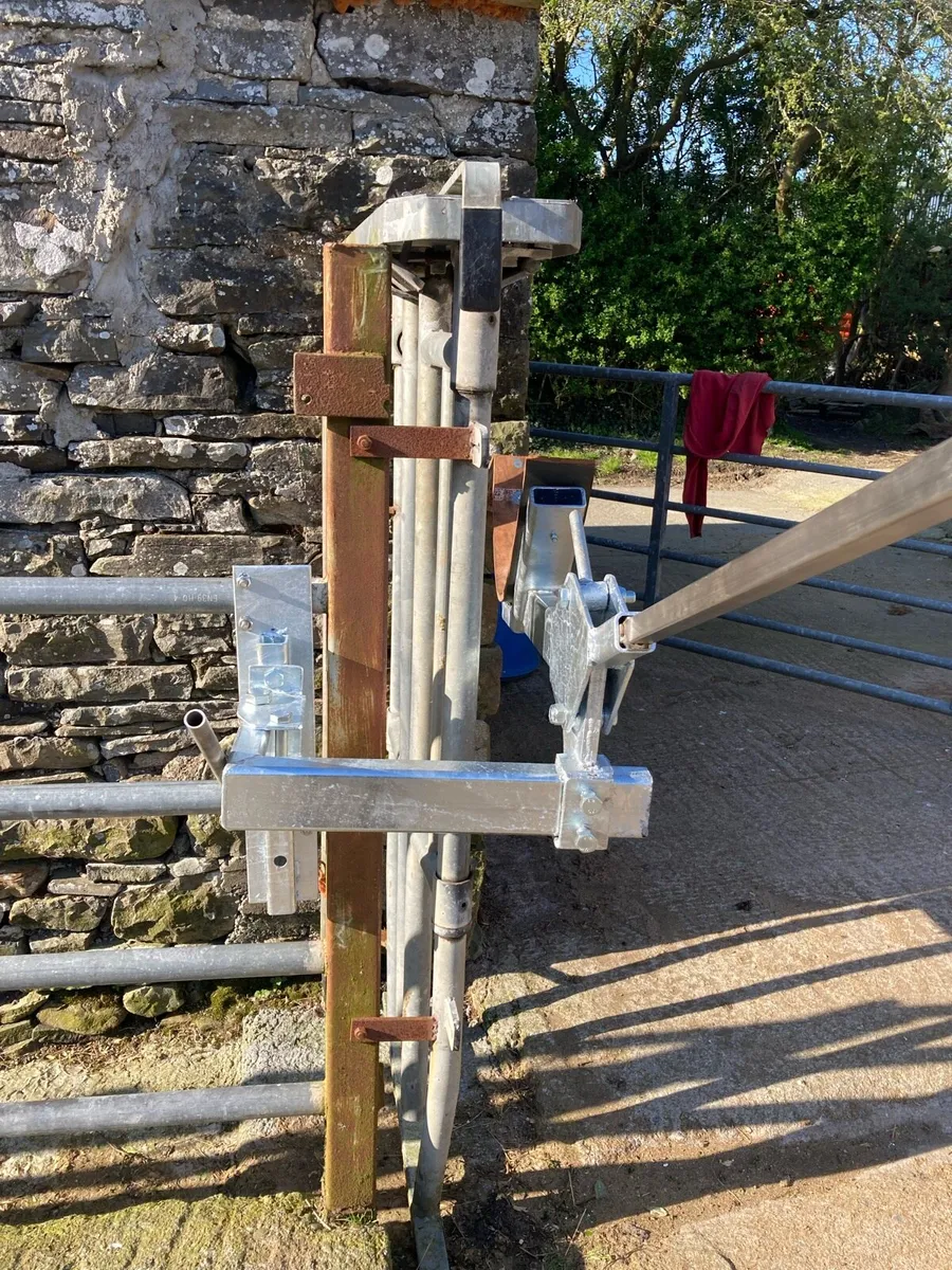 Cattle Head Scoop - Image 4