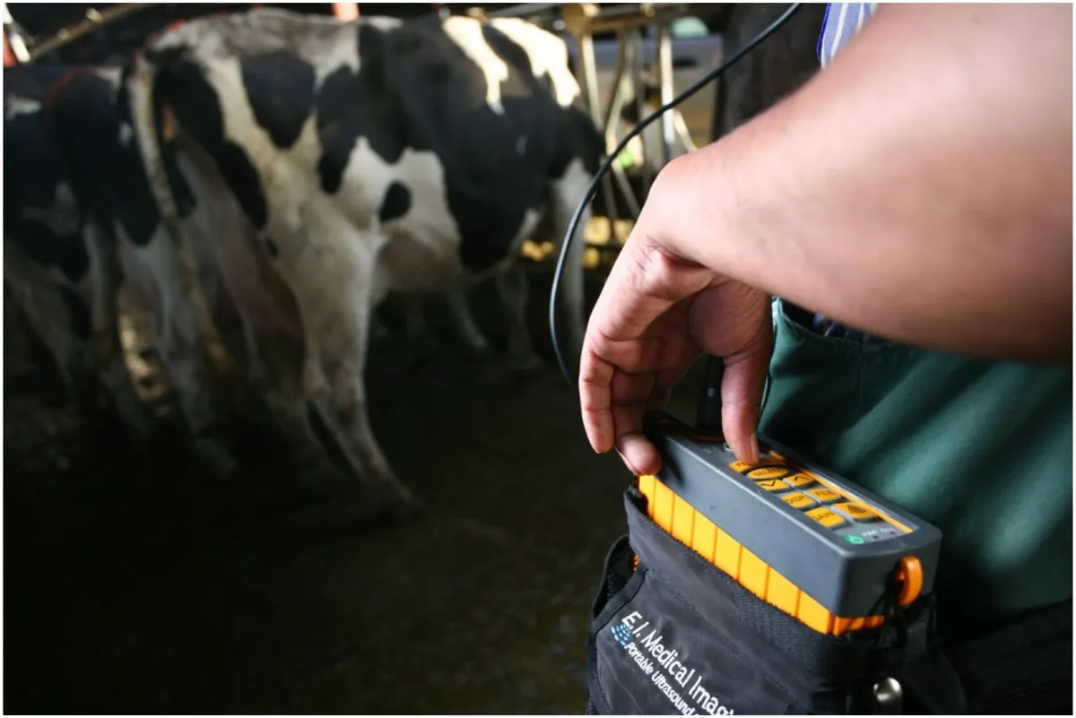 Reproductive Ultrasound Scanning Training