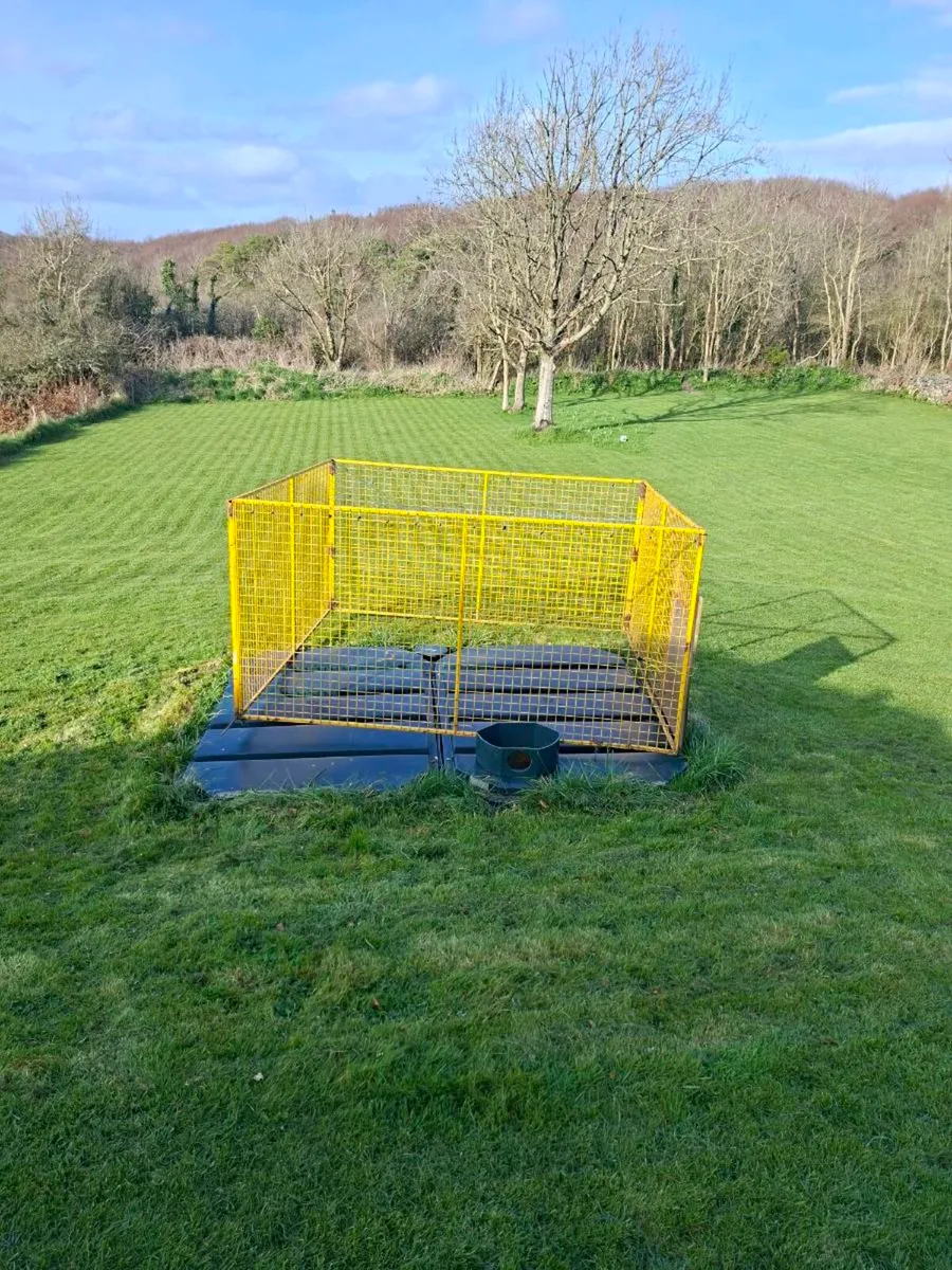 Dog/Chicken Run f - Image 2