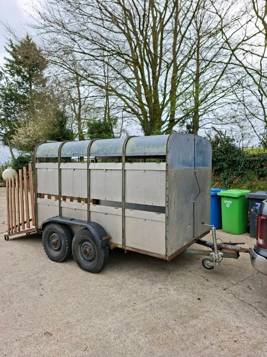 Ifor Williams Cattle Trailer - Image 1