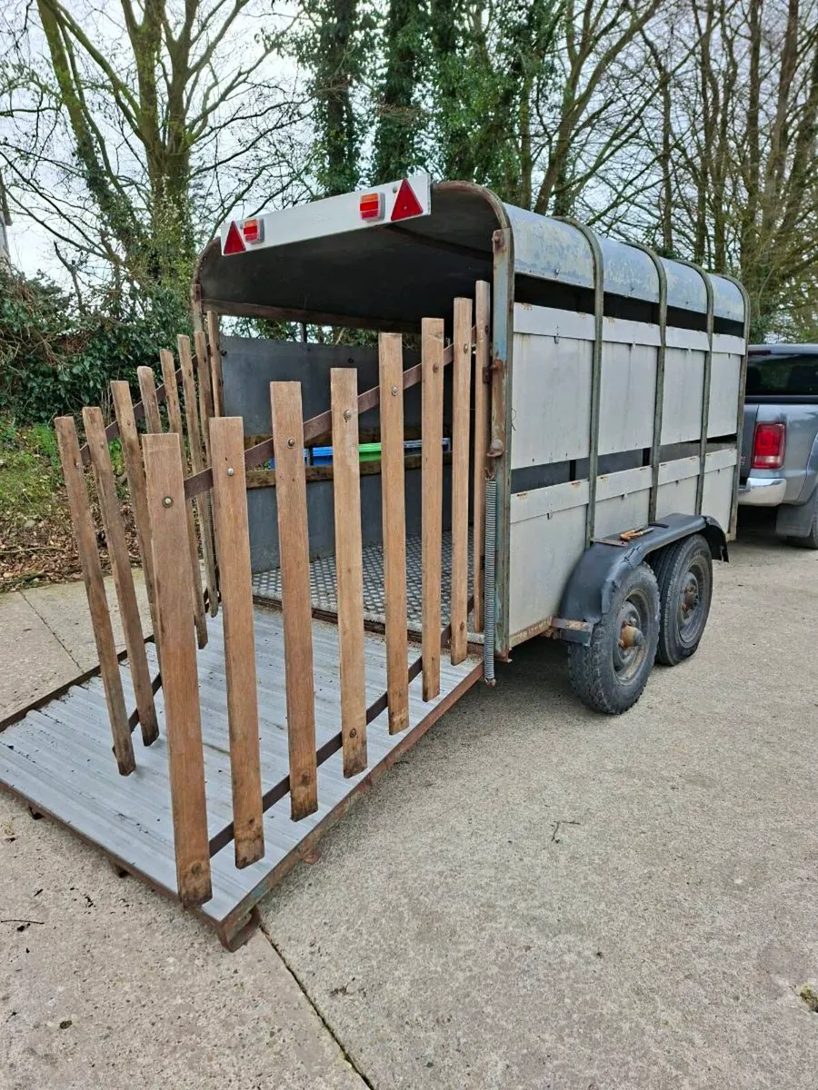 Ifor Williams Cattle Trailer - Image 2