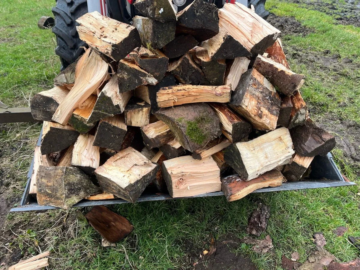 Firewood - Image 1