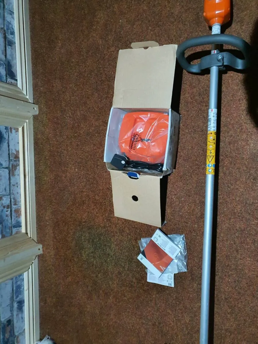 Griselinia tub hedging - Image 4