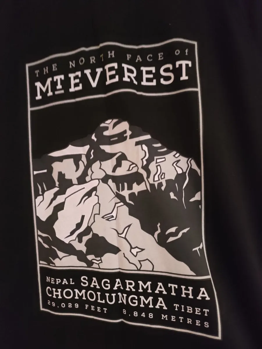 The North Face Mt Everest T shirt L New - Image 1