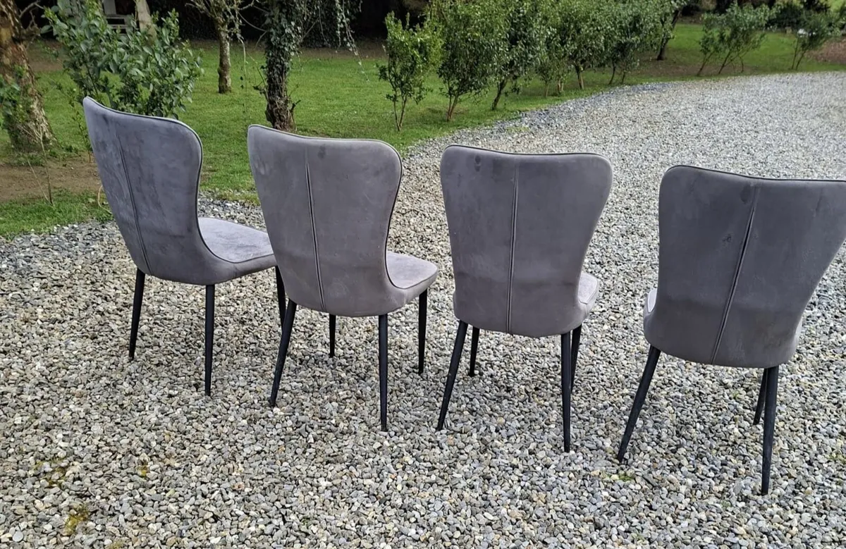 Dining chairs - Image 3