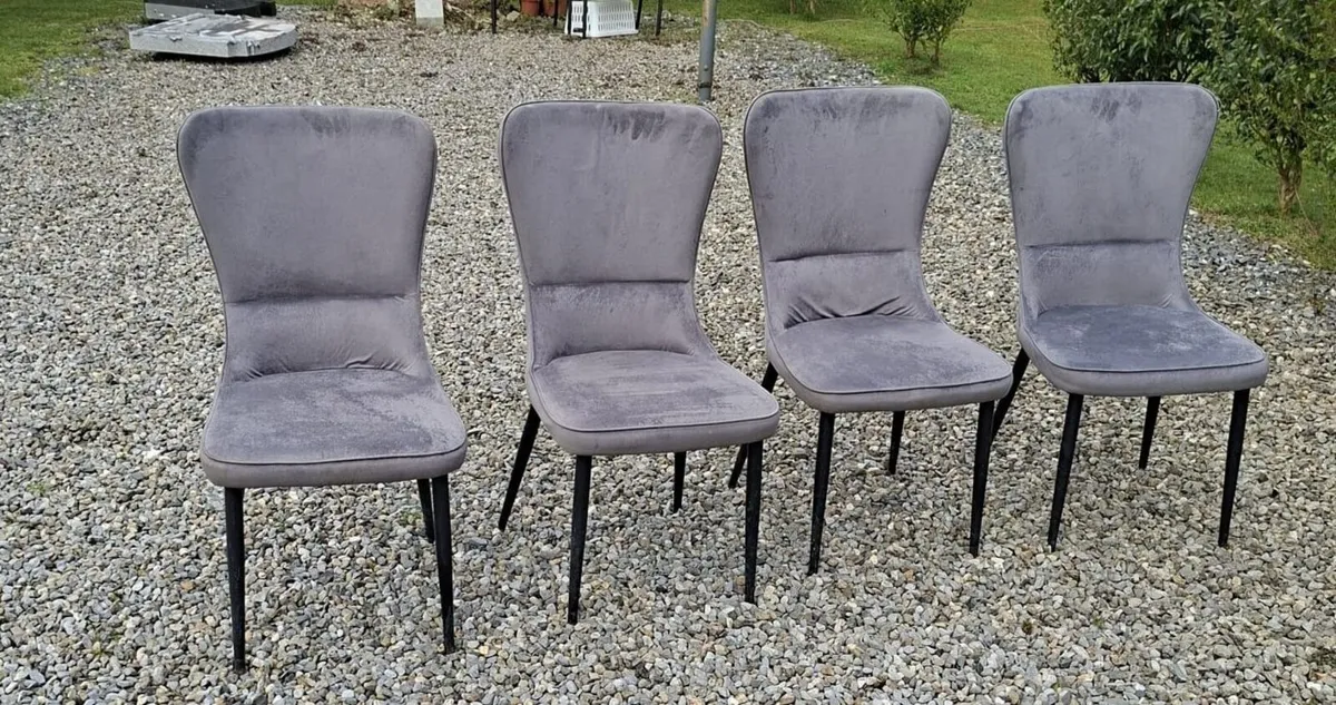 Dining chairs - Image 1