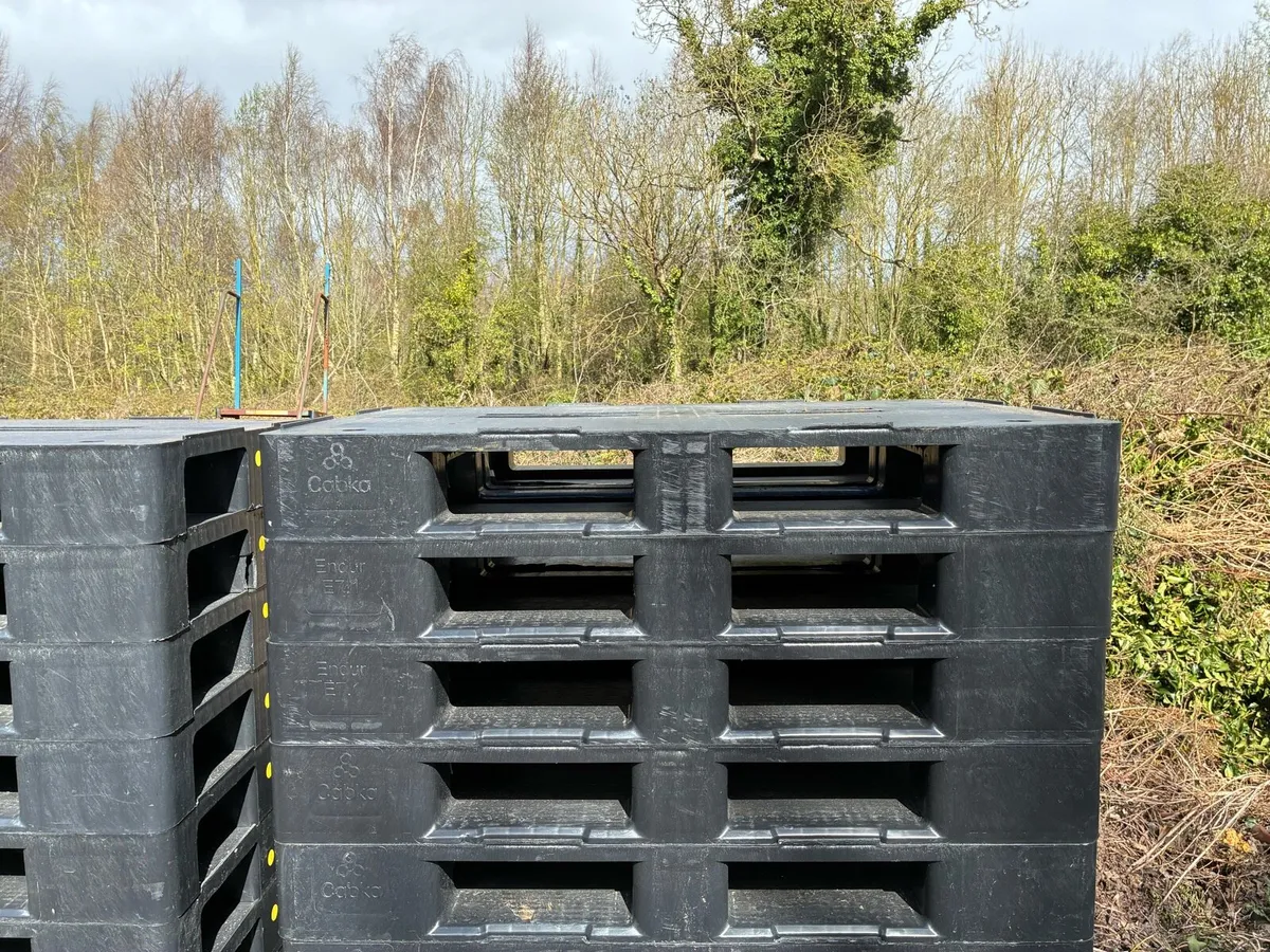 Plastic pallets - Image 1