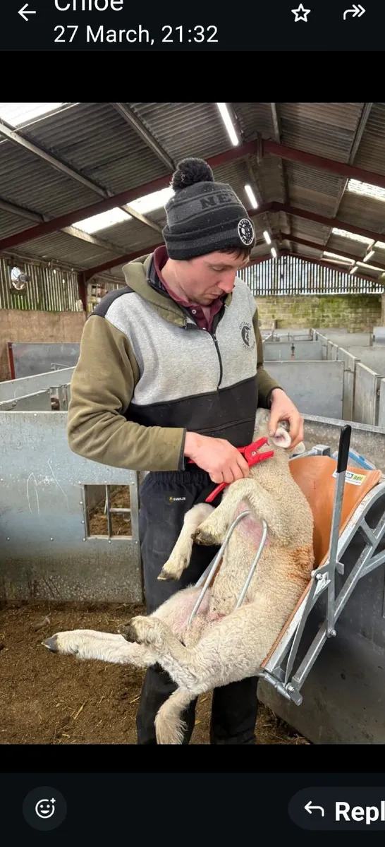 Lamb chutes ( SmythAgri ) - Image 1