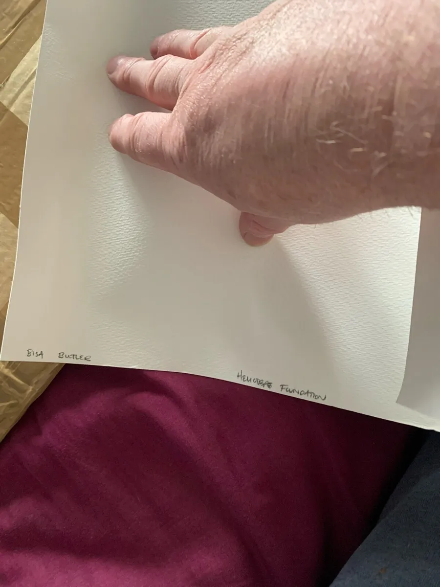 Bisa Butler LimitedEdition Print - Image 2