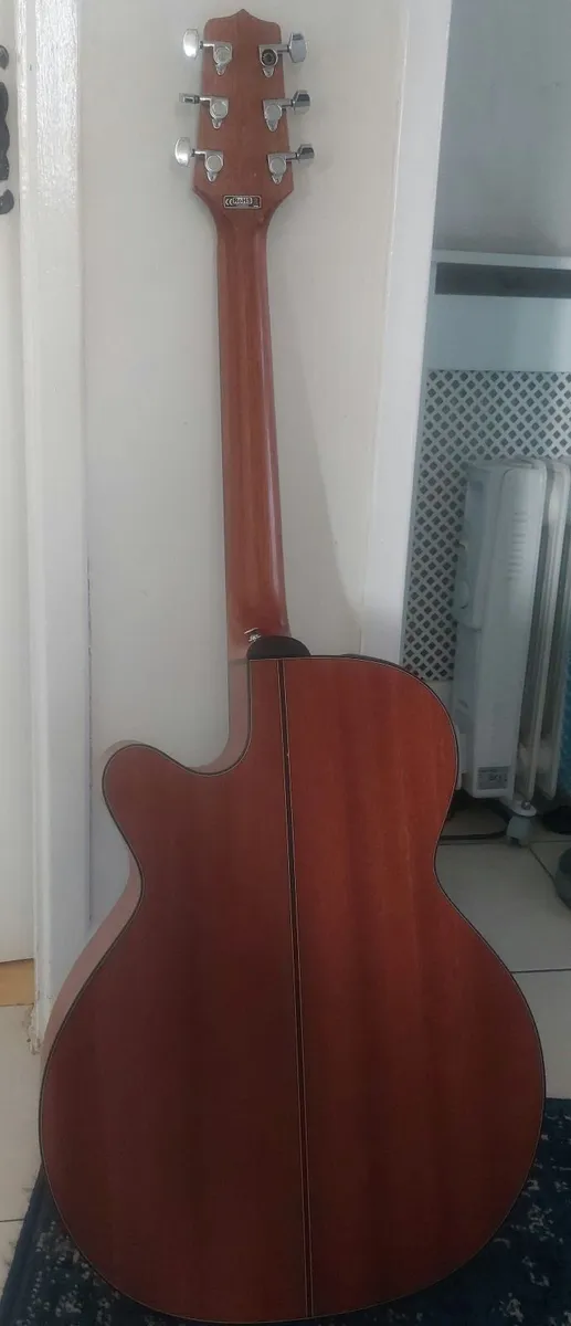 Takemine G series - Image 2