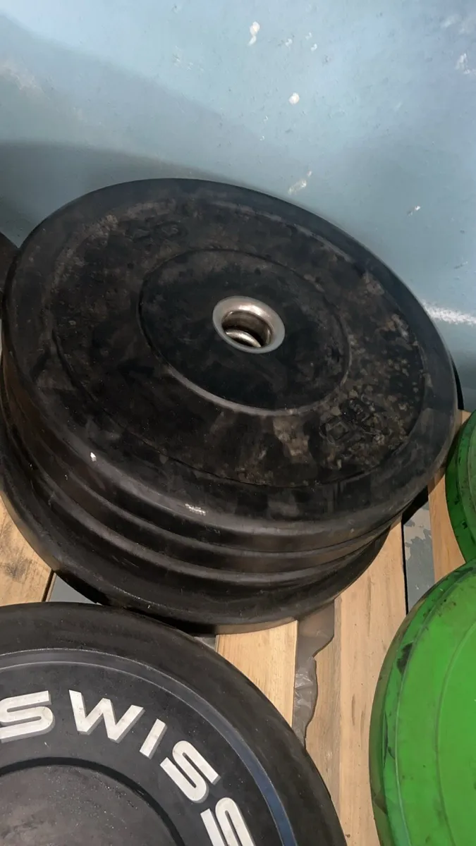 Bumper plates last few left - Image 1