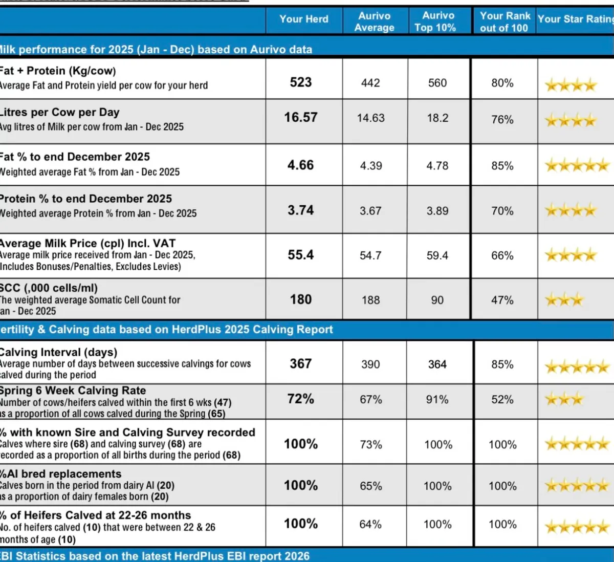 Friesian heifers - Image 4
