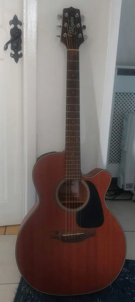 Takemine G series - Image 1