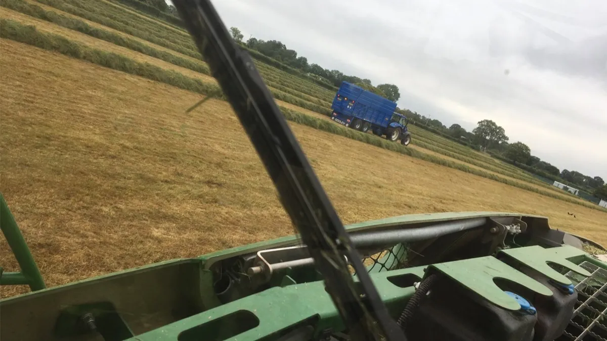 Silage Bales and Pit silage - Image 2