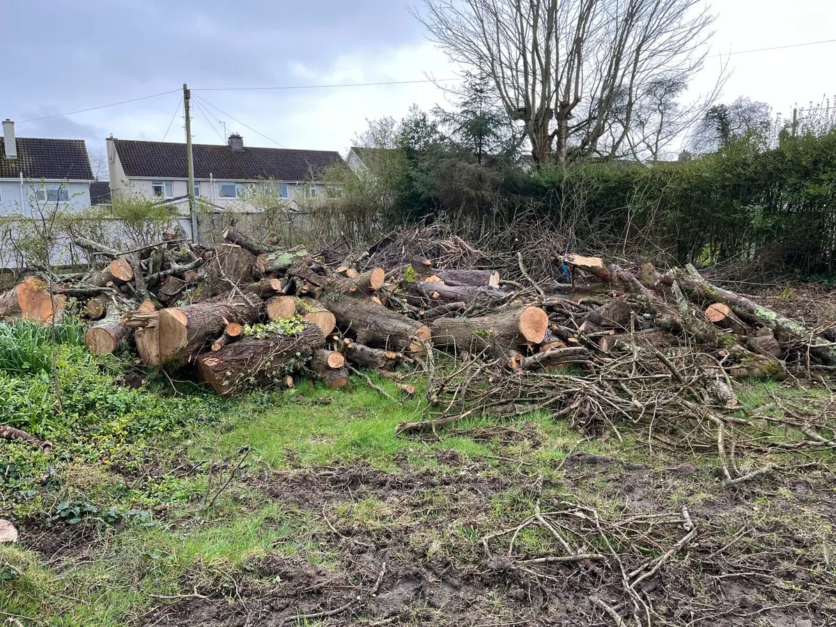 Timber for Firewood - Image 1