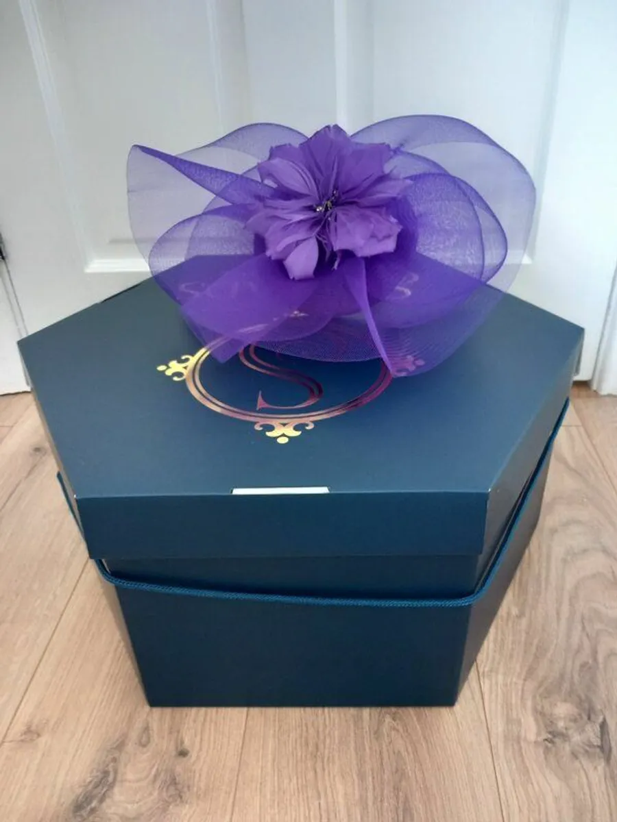 Mother of the Bride Dress and Fascinator - Image 4