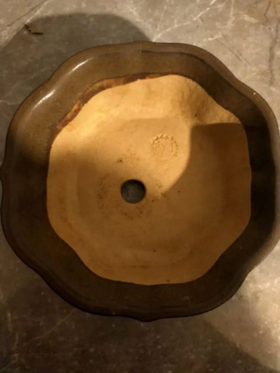 Medium Bonsai Pot #1 - Image 2