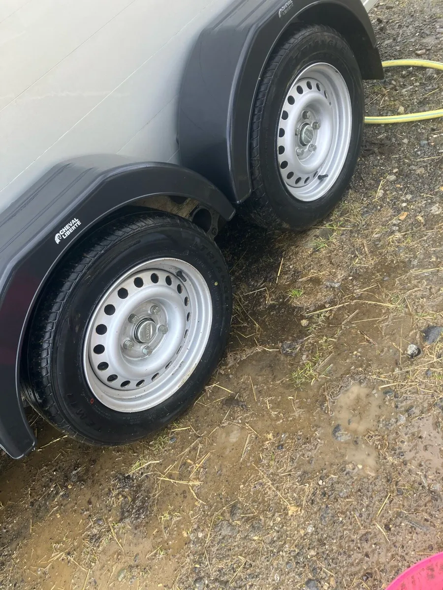 Horse trailer / box Cheval Liberte Maxi 2 - Image 3