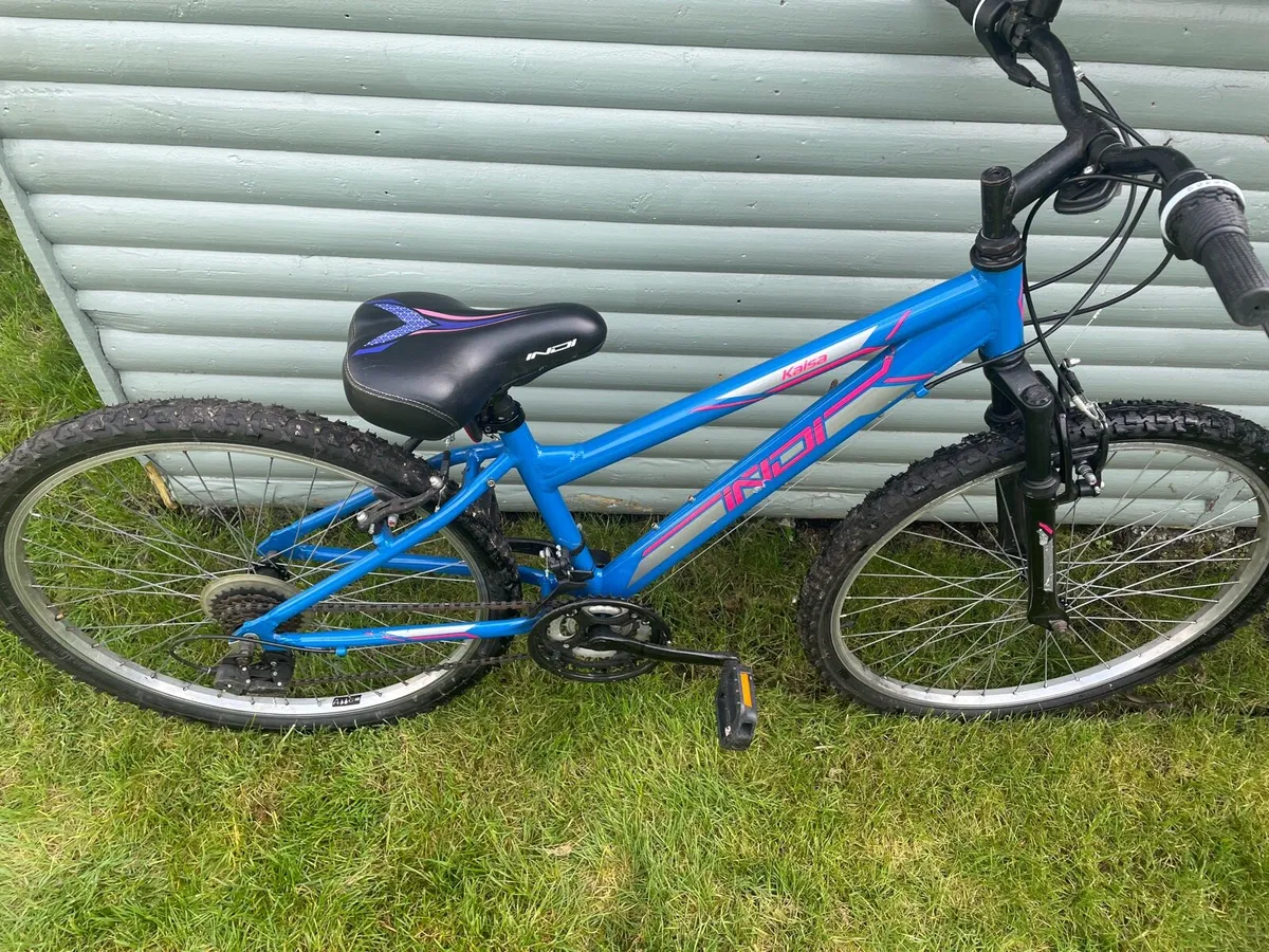 Girls Bicycle - Image 2