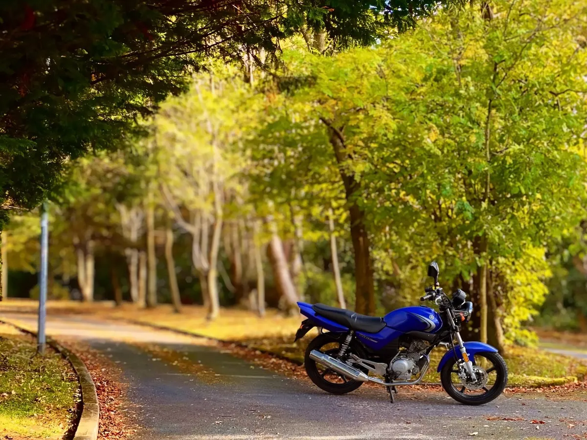 Yamaha YBR 125 - Image 1