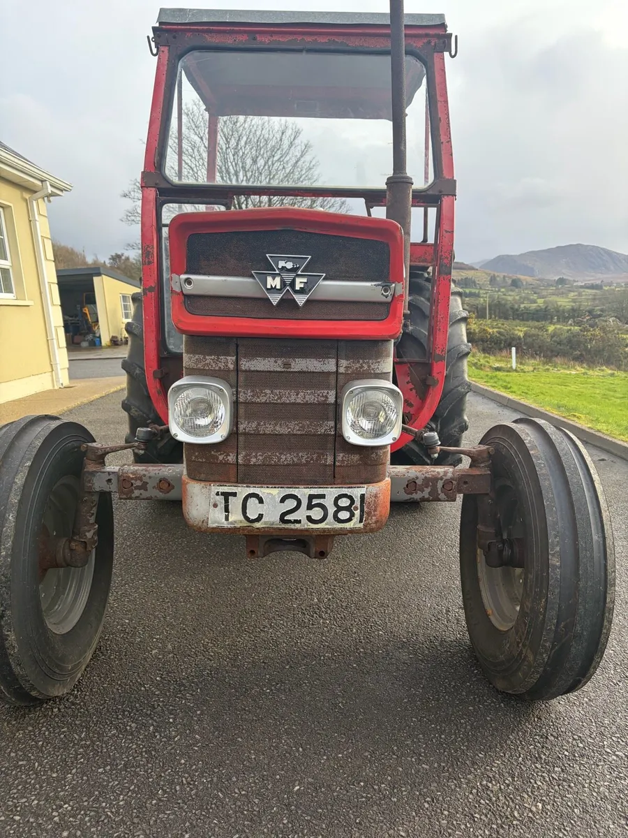 1974 Massey Ferguson 135 - Image 3